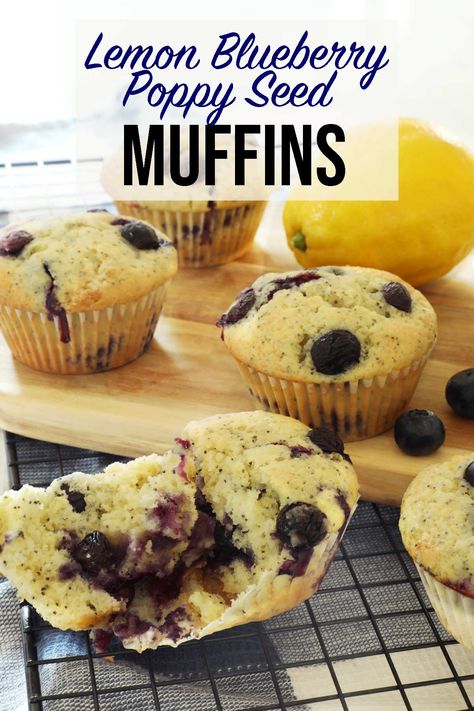 An easy recipe for blueberry lemon poppy seed muffins that is perfect for blueberry season. A simple on the go breakfast for any morning. Lazy Breakfast Ideas, Breakfast Casserole With Tater Tots, Pumpkin Applesauce Muffins, Casserole With Tater Tots, Poppy Seed Muffins Recipe, Fluffy Homemade Pancakes, Poppy Seed Muffin Recipe, Homemade Muffins Recipe, Lazy Breakfast