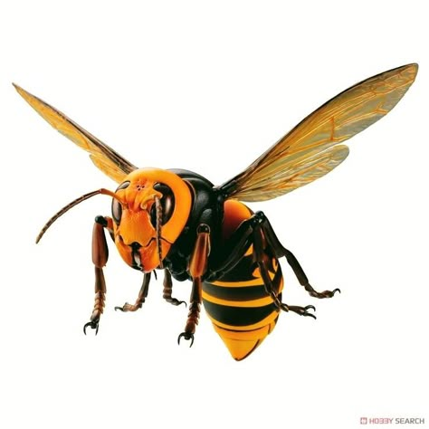 Wasp Tattoo, Preschool Activities Toddler, Dinosaur Skeleton, Star Wars Movies, Anime Collectibles, Arthropods, Image List, Bugs And Insects, Strong Body