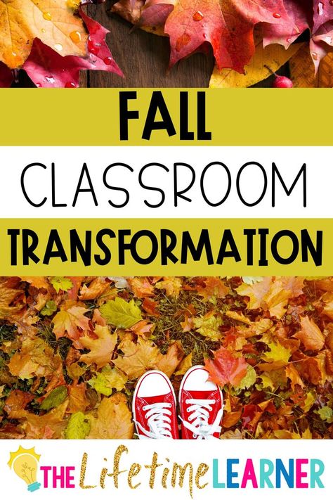 Fall Classroom Party 4th Grade, Fall Student Work Display, Pumpkin Patch Classroom Transformation, Fall Room Transformation Classroom, Fall Classroom Transformation, Class Picture Ideas Group Elementary, Class Pictures Ideas Group, Fall Room Transformation, Fun Facts About Fall