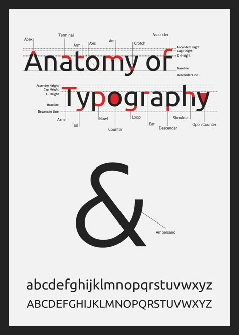 Typography Principles Of Design, Anatomy Of Type Poster, Scientific Typography, Typography Anatomy Poster, Typography Worksheet, Type Anatomy Poster, Typographic Poster Design Layout, Typeface Anatomy, Typography Terminology