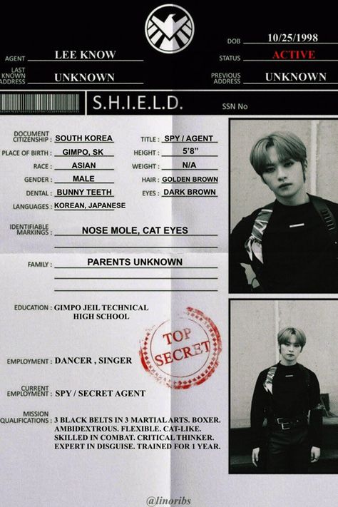 Kpop Introduction Template, Kpop Album Cover Stray Kids, Photocard Freebies, Lee Minho Skz, Kpop Album Cover, Marvel Shield, Old Documents, Random Cat, Skz Aesthetic