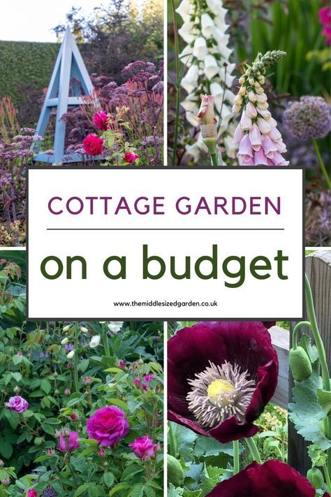 From empty space to brilliant cottage garden - on a shoestring budget. Lots of clever recycling ideas plus tips for keeping plant costs down. If you love cottage gardens, don't miss this 🌻🌲❤️😍 Cottage Garden Trellis, Narrow Cottage Garden, Small Cottage Garden Ideas On A Budget, Cottage On A Budget, Diy Cottage Garden Ideas, How To Plan A Cottage Garden, Easy Cottage Garden Ideas, Simple Cottage Garden Ideas, How To Plant A Cottage Garden