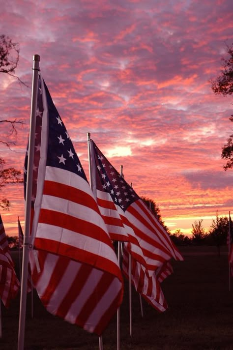 A call to hope and not giving up! If ever we needed to humble ourselves and pray… I Love America, God Bless The Usa, One Nation Under God, Proud To Be An American, Love America, American Flags, Old Glory, Land Of The Free, America The Beautiful