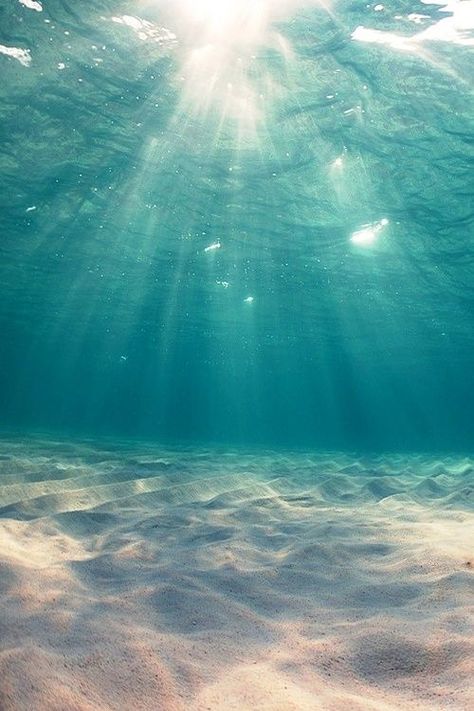 wallpaper underwater phone iphone شرم الشيخ, Whatsapp Wallpaper, Lily Evans, Wallpaper Tumblr, Jolie Photo, Alam Yang Indah, Ocean Life, Phone Backgrounds, Iphone Background