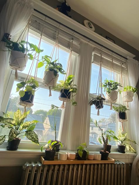 Hanging Plants Indoor Shelf, Shelves For Plants Indoor Window, Hanging Window Plants Indoor, Window Shelves For Plants Bedroom, Plant Shelf Across Window, Indoor Plant Window Ideas, Hanging Plants In Window Ideas, Window Hanging Plant Shelf, Window Sill Garden Indoor