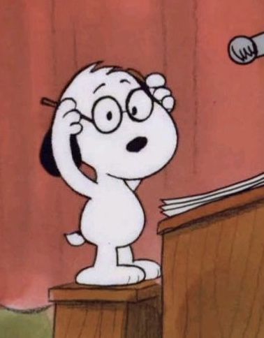 Internet Fame, Random People, Facebook Users, Profile Photos, Young Artist, Snoopy, Desk