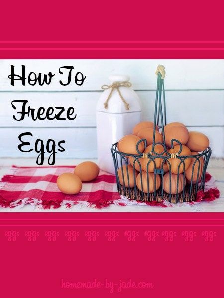 Picture What To Do With Too Many Eggs, How To Freeze Eggs, Too Many Eggs, Freeze Eggs, Money Growing, Homemade Ingredients, Freezing Eggs, Amazing Food Recipes, Cooking Tips And Tricks