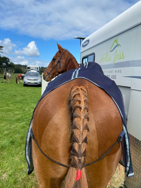 How To French Braid Horse Tail, Horse Mane Styles Western, Braided Horse Tail, Horse Mane Braids Westerns, Horse Tail Braid Ideas, Horse Braiding Ideas, Horse Braids Mane, Horse Tail Hairstyle, Horse Tail Braid