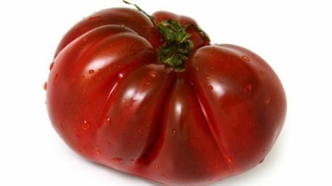 Black Krim Tomato Plant Care – What You Should Know! The Black Krim Tomato (https://plantophiles.com/gardening/best-tomato-plant-fungicides/) variety is one of the most unique-looking tomato varieties out there.  The deep red, almost purplish skin of these tomatoes (https://plantophiles.com/gardening/what-is-eating-my-tomatoes-at-night/) makes them an exciting plant to grow in your garden.  The deep red-purple color can turn blac… Heirloom Tomatoes Varieties, Big Tomato, Garden Cafe, Organic Soil, Canning Tomatoes, Tomato Plants, Heirloom Tomatoes, House Plant Care, Plant Needs