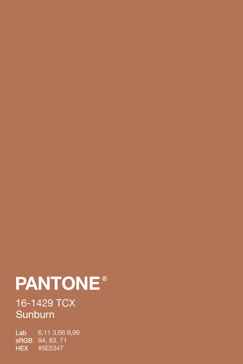 A warm terracotta color swatch labeled Pantone 16-1429 TCX Sunburn, evoking the rich tones of sun-drenched clay and cozy autumn evenings. This color is part of a fall-inspired Natural Habitat Palette, ideal for adding warmth and inviting depth to interior designs or seasonal projects. Eburneon Color, Terracotta Color Swatch, Terra Cotta Pantone, Terracotta Pantone, Autumn Pantone, Relax Pictures, Color Palette Terracotta, Terracotta Palette, Clay Color Palette