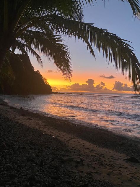 Samoa Aesthetic, Landscape Study, Coconut Dream, Mariana Islands, Pretty Views, The Jets, Northern Mariana Islands, American Samoa, Us Virgin Islands