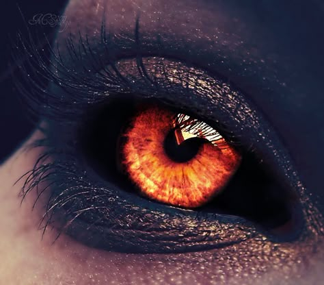 Cooling Embers by melzipants Eye Aesthetic, Tiefling Bard, Eye Color Chart, Rare Eyes, Fire Eyes, Magic Land, Jackpot Slot, Photos Of Eyes, Golden Eyes