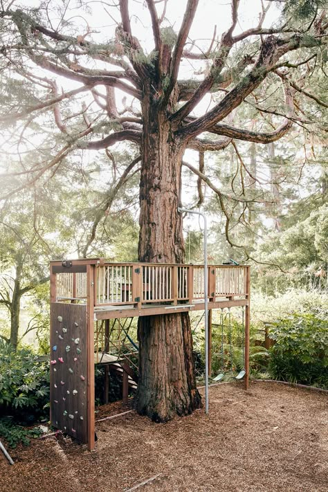 The San Francisco Envy Chain - NYTimes.com Playground Landscaping, Tree House Ideas, Treehouse Ideas, Tree Fort, Tree House Diy, Tree House Kids, Diy Playground, Outside Play, Tree House Designs