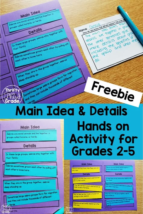 How To Teach Main Idea 3rd Grade, How To Teach Main Idea, 2nd Grade Main Idea And Details, Main Ideas And Details Activities, Non Fiction Reading Activities, Teaching Main Idea 4th Grade, 3rd Grade Main Idea And Details, Main Idea Fun Activities, Teaching Main Idea And Details 3rd Grade