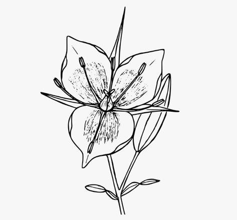 Cuban Tattoos, Cuba Tattoo, Small Girly Tattoos, Cool Tattoo Ideas, Petite Tattoos, Background Flower, Stylist Tattoos, Spine Tattoo, Parts Of The Body