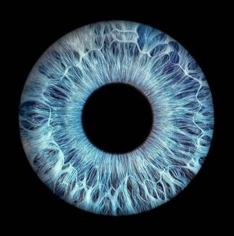 Blue Eye Background, Blue Iris Eye, Eyes Iris, Blue Eyes Aesthetic, Iris Eye, Dark Blue Eyes, Eye Texture, Eyes Aesthetic, Light Blue Eyes