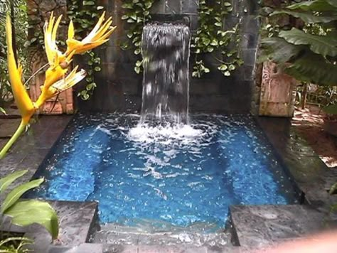 plunge outdoor pool with a waterfall you can probably DIY Garden Clipart, Plunge Pools, Small Swimming Pools, Hazrat Muhammad, Calendar 2017, Garden Calendar, Small Pool Design, Small Pools, Fall Flower