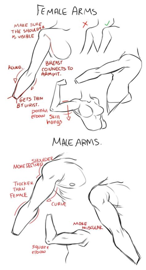 How To Draw Arms, Female Arms, Draw Arms, Arm Drawing, Arm Art, Anatomy Tutorial, Stephanie Seymour, Human Anatomy Drawing, Body Drawing Tutorial