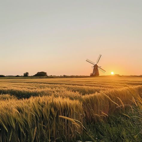 Sunset Windmill Scene: A tranquil windmill overlooks a golden wheat field during a breathtaking sunset in the countryside. #sunset #windmill #wheat #field #countryside #aiart #aiphoto #stockcake ⬇️ Download and 📝 Prompt 👉 https://ayr.app/l/iT9d Sunset Countryside, Fox Oc, Golden Wheat Field, Farm Windmill, Inktober 2024, Farm Field, Golden Wheat, Wheat Field, Scene Image