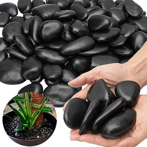 Amazon.com: Black River Rocks Large for Landscaping Outdoor Polished Black Pebbles for Plants Garden Decorative Stones 15 Pound Black River Rock Stones, 1 to 2 Inch Black Rock : Patio, Lawn & Garden Black Rock Landscaping, Backyard Ideas Landscaping, Black River Rock, River Rock Stone, Garden Pebbles, Mexican Beach Pebbles, Landscape Ideas Front Yard Curb Appeal, Front Yard Curb Appeal, Sloped Backyard Landscaping