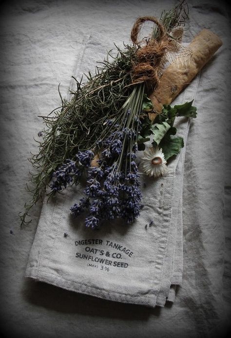 Lavender Cottage, Alchemy Art, Ivy House, Deco Nature, Lovely Lavender, Purple Home, Healing Herbs, Lavender Blue, Lavender Fields