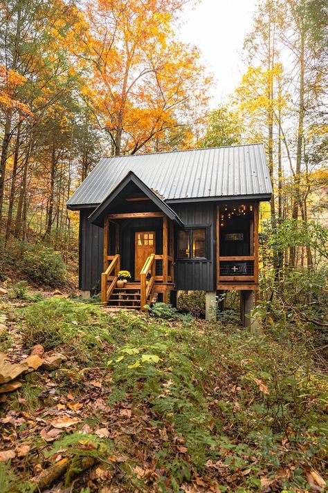 Charming Creekside Cottage Borders Forest & Trails - Cabins for Rent in Cherry Log, Georgia, United States - Airbnb Tiny Cabin Exterior Ideas, Small Cabin Cottage, Cute Cabins In The Woods, Remote Cabin In The Woods, Small Cabin Porch Ideas, Tiny Home In The Mountains, Small Cabin Airbnb Ideas, Small Cabin Woods, Tiny Homes In The Woods