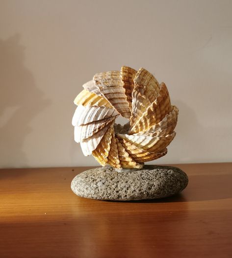 Seashell Decor Ideas, Shells Projects, Sea Shell Display, Craft Design Ideas, Seashell Art Diy, Seashell Decor, Art Coquillage, Seashell Projects, نباتات منزلية