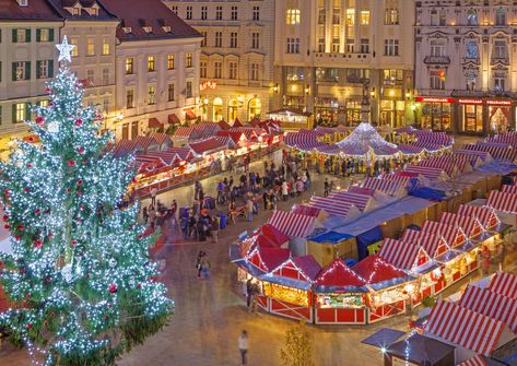 Christmas spirit in Bratislava Tree Town, Štědrý Den, Estonia Tallinn, Background Winter, Blurred Lights, European Christmas, German Christmas Markets, Christmas Dreaming, Christmas Markets Europe