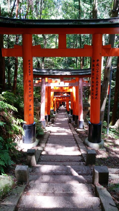 Asia Core Aesthetic, Japan Asethic, Japan Cool Places, Travel In Japan Aesthetic, Japan Asthetics Photos, Japan Places Aesthetic, Traveling Japan Aesthetic, Japan Destinations Beautiful Places, Asia Core