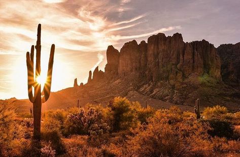 Lost Dutchman State Park, Arizona. Photo Credit: @weinstein.scapes via Instagram Desert Reference, Dessert Landscaping, Superstition Mountains Arizona, Desert Tattoo, Nature Reference, Arizona Mountains, Arizona Landscape, Superstition Mountains, Western Landscape