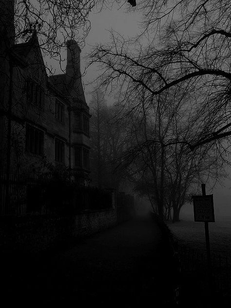 This house is haunted Dark Naturalism, Darkness Falls, Slytherin Aesthetic, Dark Paradise, 다크 판타지, Gray Aesthetic, Gothic Aesthetic, Dark Academia Aesthetic, Dark Places