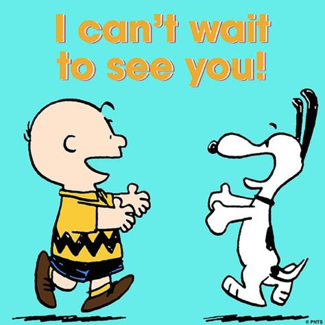 Charlie Brown Quotes, Charlie Brown And Friends, Brown And Friends, Peanut Gang, Snoopy Funny, Peanuts Charlie Brown, Snoopy Images, Peanuts Cartoon, Snoopy Quotes