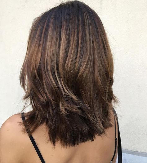 Medium Length Hair With Layers Thick Straight, No Matinence Haircut, Layers On Short Hair Straight, Layer Medium Haircut Shoulder Length, Hairstyles For Medium Length Hair With Layers Straight, Straight Layered Short Hair, Layered Haircuts For Medium Hair Middle Part, Layered Short Brown Hair, Layer Shoulder Length Hair