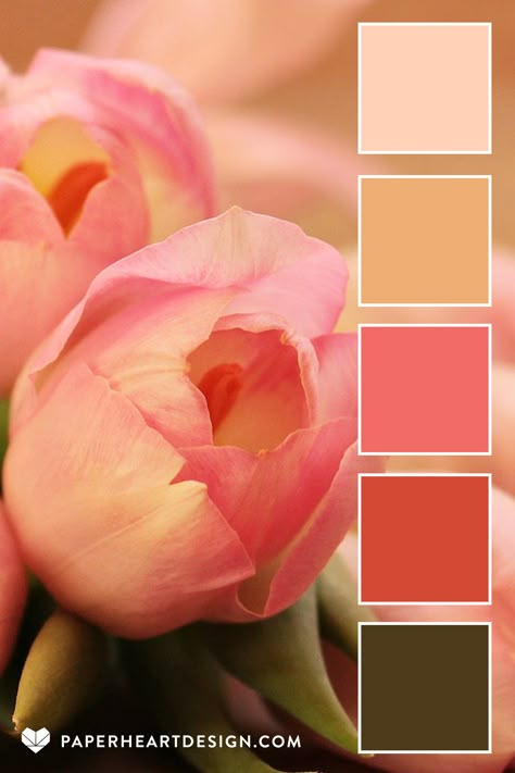 This peachy pink tulip inspired color combo is just one of hundreds of expertly designed color palettes on our blog! The Never Enough Flowers color palette collection is full inspiration for your next design project, wedding colors, interior design, branding, nail art, and more! #colorpalette #colorscheme #color #colourpalette #hexcode #colorinspiration #graphicdesign #weddingcolors #interiordesign #branding #design #fashion #graphicdesign #nailart #logo #illustration #flower #tulip Tulip Color Palette, Branding Design Fashion, Color Thesaurus, Palette Spring, Pantone 2024, Tulip Colors, Color Schemes Colour Palettes, 2024 Color, Flowers Color