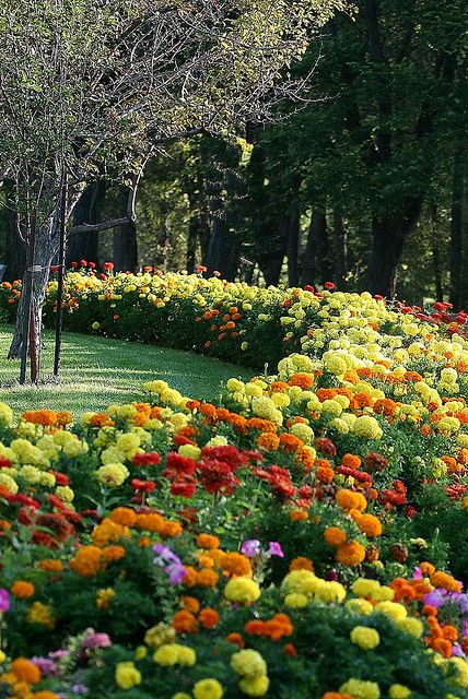 Lindenwood Park, Fargo, North Dakota Fargo North Dakota, Areas Verdes, Public Garden, Gorgeous Gardens, North Dakota, The Grass, South Dakota, Beautiful World, Beautiful Landscapes