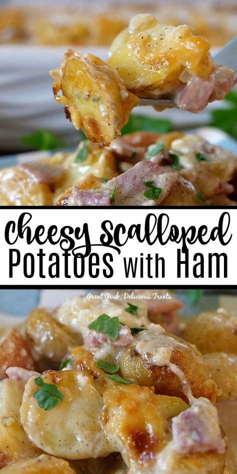 Ham And Potato Recipes Casseroles, Scalloped Potatoes With Ham And Cheese, Ham Potato Cheese Casserole, Ham And Cheese Scalloped Potatoes, Ham And Cheesy Potato Casserole, Ham And Potato Casserole Recipes, Ham And Cheese Potatoes, Casseroles With Ham, Ham And Cheese Potato Casserole