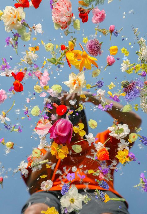 Inspired by his family traditions, this British photographer and artist takes floral art to a whole new and virtual level with his dazzling blocks. Joe Horner, Giving Flowers, Flower Photoshoot, Metal Magazine, Types Of Photography, Artistic Photography, Flower Boxes, Flowers Photography, Floral Art