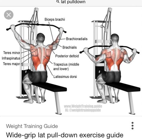 Lat pulldown machine Good Back Workouts, Biceps Brachii, Cable Workout, Back Exercise, Back Workouts, Latissimus Dorsi, Compound Exercises, Muscle Gain, Workout Chart