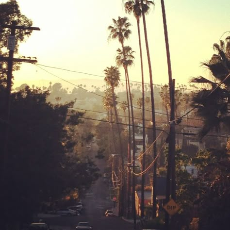 Silverlake, LA. I'll be forever California dreaming on such a winter's day. Silverlake Los Angeles, Dani California, All The Bright Places, Street Aesthetic, Cali Life, Sweet Summertime, City Of Angels, California Love, California Dreamin'