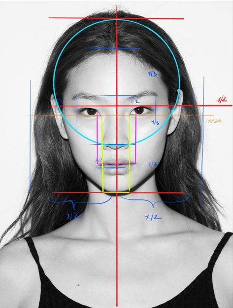 Female Head Structure, Face Anatomy Study Art, Face Draw Tutorial, Face Porpotion Reference, Face Ratio Drawing, Reference Portrait Drawing, Face Structure Reference, Reference Face Drawing, Drawing Face Reference