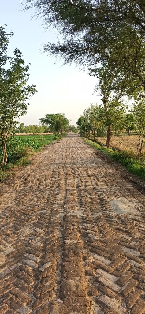 Village Road Background For Editing, Indian Roads Photography, Village Background For Editing, Village Aesthetic Indian, Punjab Village Photography, Indian Nature Photography, Indian Village Photography, Indian Village Aesthetic, Estelle Core