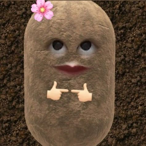 Profile Picture Ideas Funny, Pp Fb, Potato Picture, Cute Background Pictures, Potato Funny, Cute Potato, Bff Hands Aesthetic, Pp Wa, Filipino Funny