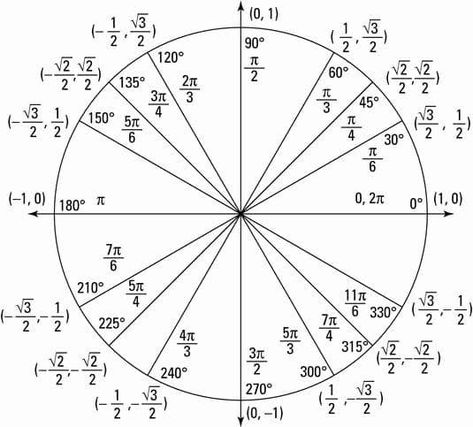 Circle Worksheet, Unit Circle, Pre Calculus, Math Notes, Info Board, Math Formulas, Math Help, Studying Math, Math Methods