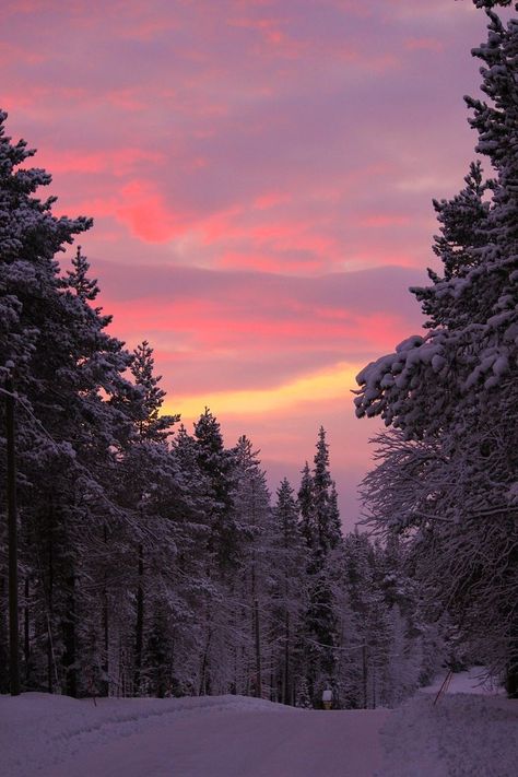 Lapland Aesthetic, Finnish Aesthetic, Snowing Aesthetic Wallpaper, Pretty Snow, Fireplace Tv Wall Decor, Funny Elf On The Shelf, Nordic Aesthetic, Finnish Lapland, Room 2023