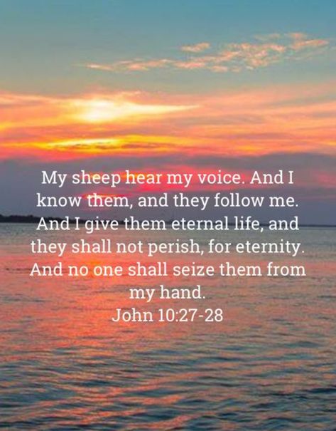 My Sheep Hear My Voice, Fully Rely On God, Heaven Help Us, God Keeps His Promises, John 10 27, Gods Quotes, Bybel Verse, Spiritual Religion, Encouraging Scriptures