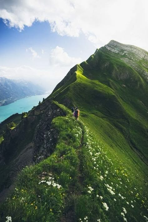 Voyage Europe, Switzerland Travel, Adventure Is Out There, Best Hikes, Alam Yang Indah, Travel Inspo, Special Price, See The World, Places I Want To Go