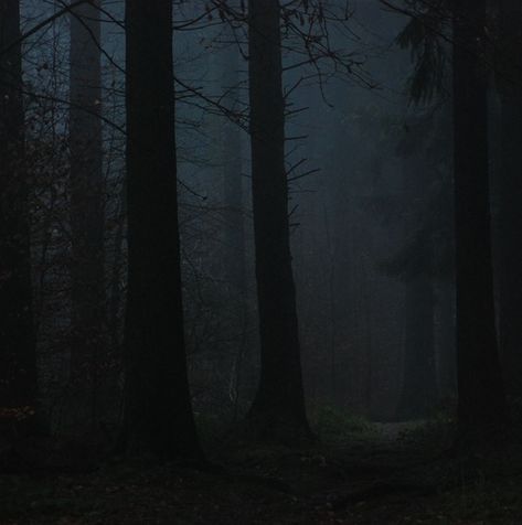 The Dark Heart (of the Forest) | by bogenfreund Spooky Pictures, Black Forest Germany, Dark Naturalism, Slytherin Aesthetic, Dark Paradise, The Dark World, Tall Trees, Dark Heart, Dark Places