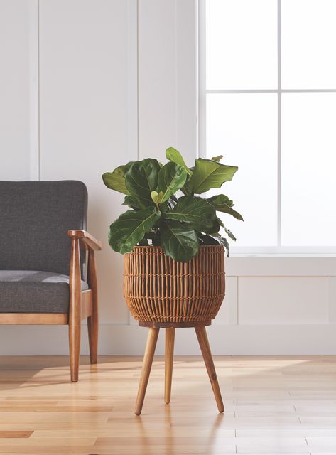 Better Homes & Gardens Brown Round Resin Planter & Stand Set with Wood Legs - Walmart.com Boho Indoor Plants, Standing Light Living Room, Room Plants Aesthetic, Bungalow Home Decor, Rattan Plant Stand, Rattan Planters, Basket Stand, Corner Plant, Resin Planters