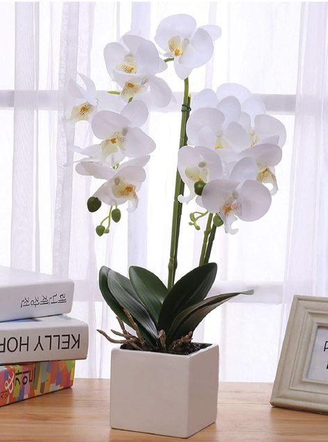 https://amzn.to/3OBMsuv Flowers With Vase, Orchid Phalaenopsis, Faux Orchid, Orchids Flowers, Collection Board, Orchid Leaves, Plant Indoor, Table Centerpiece Decorations, Orchid Plant