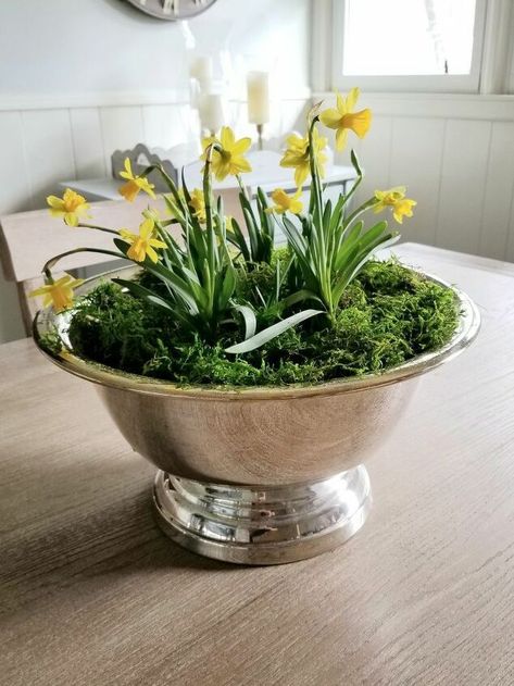 Pretty Daffodils, Plants Outdoor Ideas, Easter Themed Party, Chalkboard Serving Trays, Mansion Garden, Pots Of Flowers, Wedding Ideas Decoration, Steam Bending Wood, Large Decorative Bowl